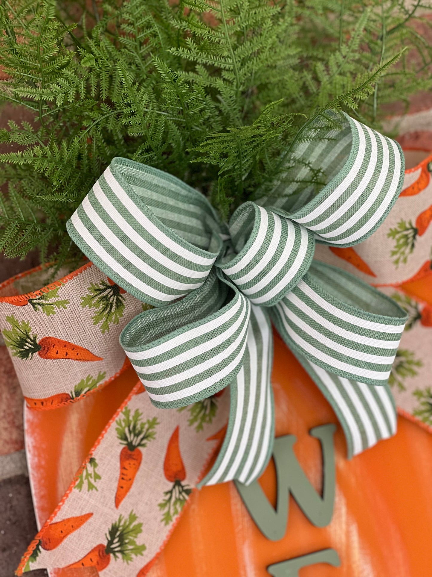 Welcome carrot - ESTR020